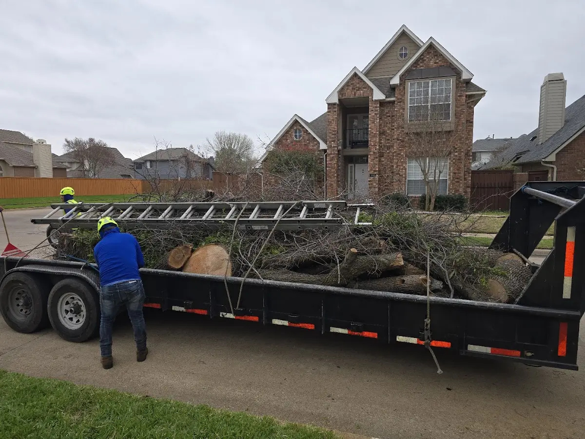 Expert Lot Clearing with proper safety equipment in Ona